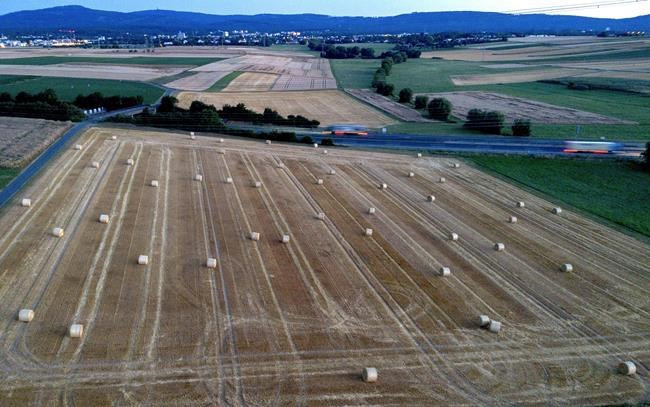 Germany, Austria issue warning to elderly and infirm as heatwave rolls in | iNFOnews.ca