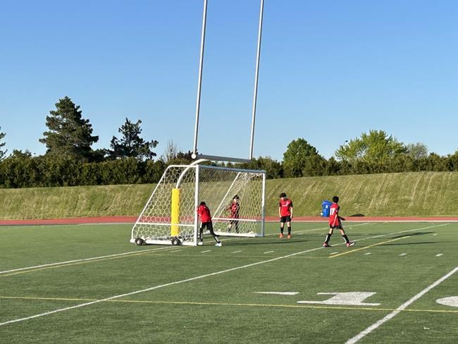 Parents hope soccer net bill will prevent deaths of more children | iNFOnews.ca