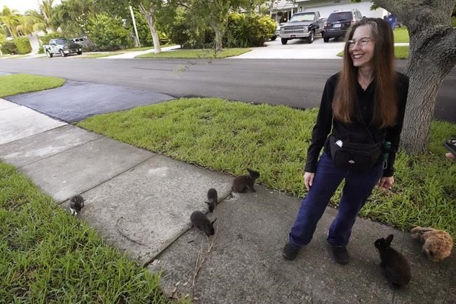 Fuzzy invasion of domestic rabbits has a Florida suburb hopping into a hunt for new owners | iNFOnews.ca Fuzzy invasion of domestic rabbits has a Florida suburb hopping into a hunt for new owners | iNFOnews.ca