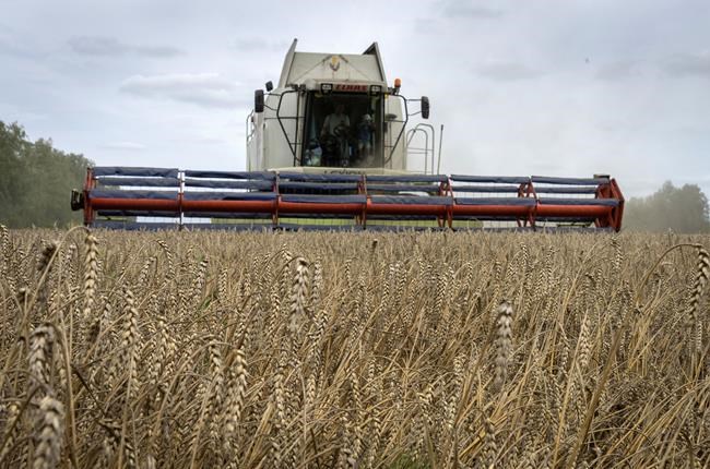 Why allowing Ukraine to ship grain during Russia's war matters to the world | iNFOnews.ca Why allowing Ukraine to ship grain during Russia's war matters to the world | iNFOnews.ca