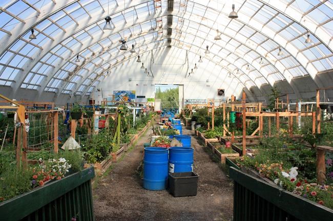 Greenhouses aim to bring fresh produce to North, putting a dent in food insecurity | iNFOnews.ca
