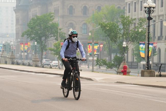 Worried about air quality impact on asthma, other conditions? Here's what you can do | iNFOnews.ca