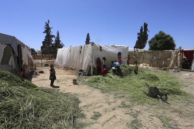 They fled Syria's shattering civil war. Now, Syrian refugees in Jordan fear being forced to return | iNFOnews.ca