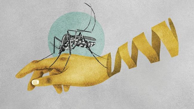 As temperatures rise, mosquitoes are also on the move. Scientists worry that could mean more malaria | iNFOnews.ca As temperatures rise, mosquitoes are also on the move. Scientists worry that could mean more malaria | iNFOnews.ca
