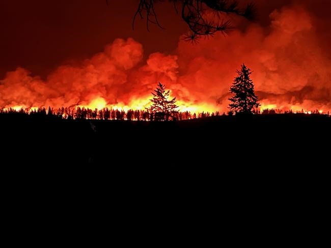 Wildfire crews fight wildfire with fire to protect, secure Cranbrook, B.C. airport | iNFOnews.ca