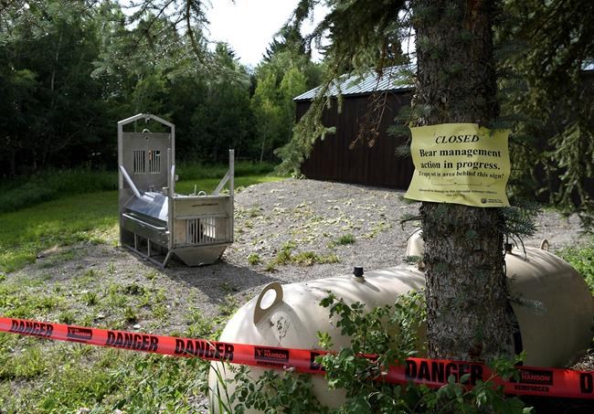 Traps removed after no sign of the grizzly that killed a woman near Yellowstone | iNFOnews.ca