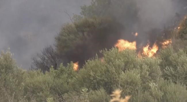 Wildfires across Algeria have killed 25 people, including 10 soldiers who were battling the flames | iNFOnews.ca Wildfires across Algeria have killed 25 people, including 10 soldiers who were battling the flames | iNFOnews.ca