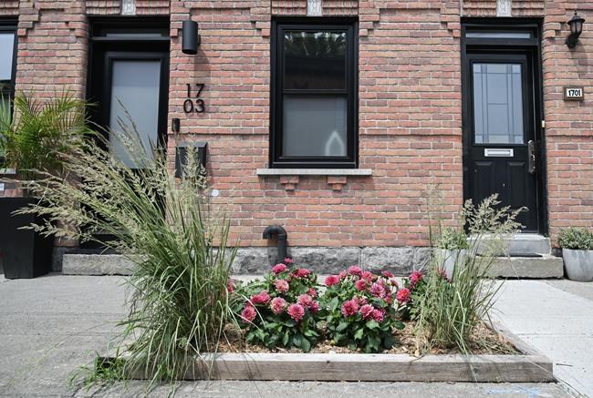 Montreal program letting residents plant sidewalk gardens provides numerous benefits | iNFOnews.ca