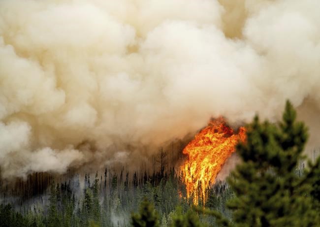 Firefighter killed while battling Donnie Creek wildfire in B.C. | iNFOnews.ca