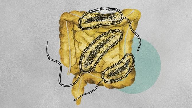 As climate change leads to more and wetter storms, cholera cases are on the rise | iNFOnews.ca