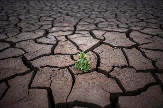 Spain's Catalonia region declares a drought emergency in 24 towns that will see water cuts | iNFOnews.ca