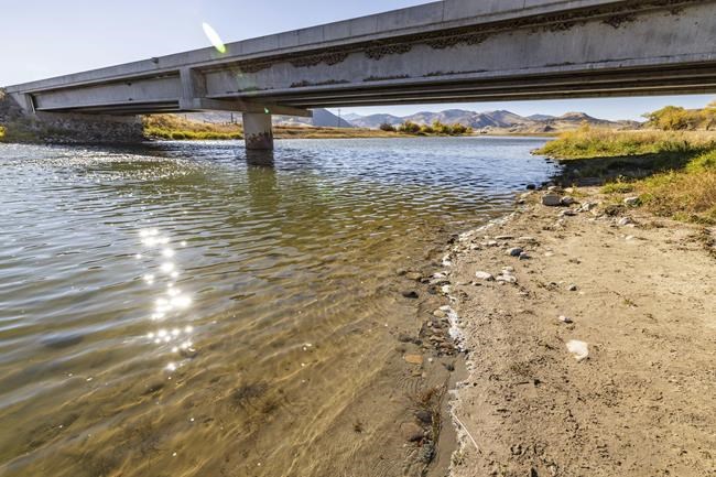 Rare otter attack injures three women floating on inner tubes on popular Montana river | iNFOnews.ca
