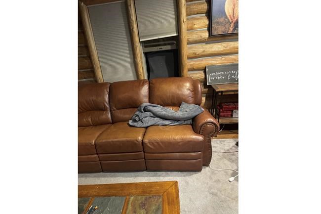 Black bear shot and killed by Montana man in his living room after break-in | iNFOnews.ca Black bear shot and killed by Montana man in his living room after break-in | iNFOnews.ca
