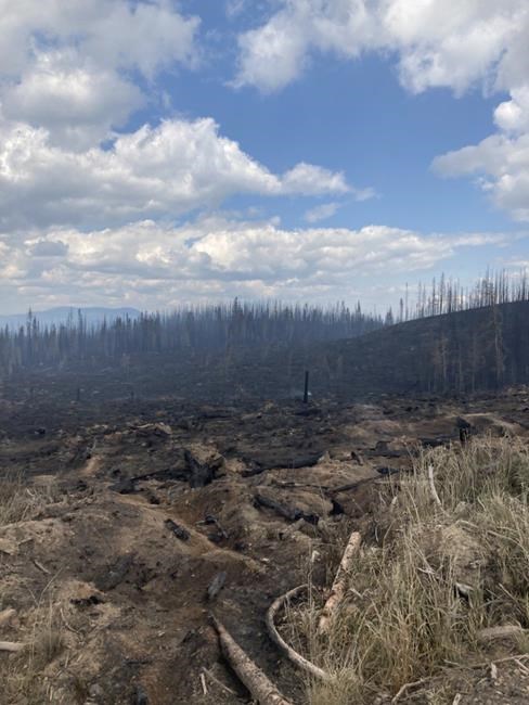 Rain and cooler weather bring reprieve to B.C. wildfire crews, but only for few days | iNFOnews.ca Rain and cooler weather bring reprieve to B.C. wildfire crews, but only for few days | iNFOnews.ca