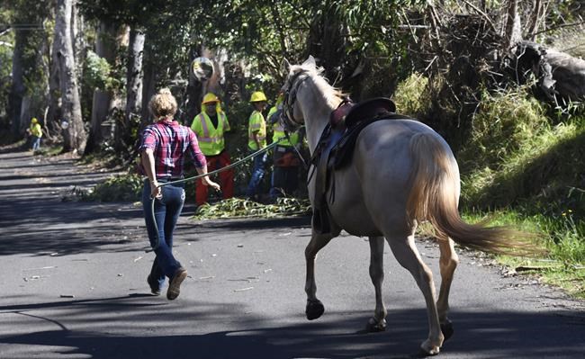 Hawaii wildfires burn homes and force evacuations, while strong winds complicate the fight | iNFOnews.ca Hawaii wildfires burn homes and force evacuations, while strong winds complicate the fight | iNFOnews.ca