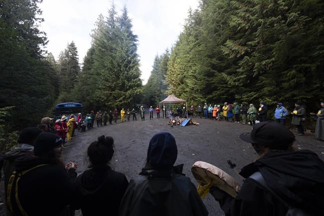 Cases against 146 Fairy Creek logging protesters are dropped after high court ruling | iNFOnews.ca Cases against 146 Fairy Creek logging protesters are dropped after high court ruling | iNFOnews.ca