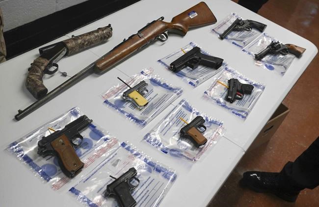 Appeals court rules against longstanding drug user gun ban cited in Hunter Biden case | iNFOnews.ca Appeals court rules against longstanding drug user gun ban cited in Hunter Biden case | iNFOnews.ca