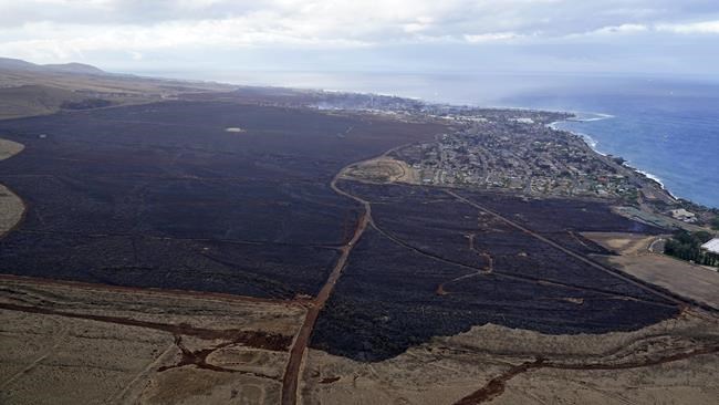 'Ash and debris': Journalist covering Maui fires surveys destruction of once-vibrant Hawaii town | iNFOnews.ca