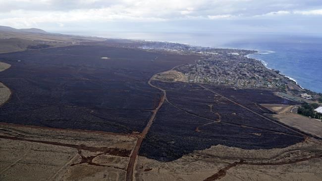 Fast-moving Hawaii fires will take a heavy toll on the state's environment | iNFOnews.ca