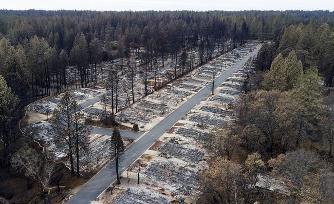 They lost everything in the Paradise fire. Now they're reliving their grief as fires rage in Hawaii | iNFOnews.ca They lost everything in the Paradise fire. Now they're reliving their grief as fires rage in Hawaii | iNFOnews.ca
