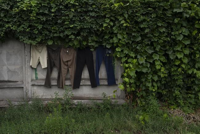 A cherished weekend flea market in the Ukrainian capital survives despite war | iNFOnews.ca