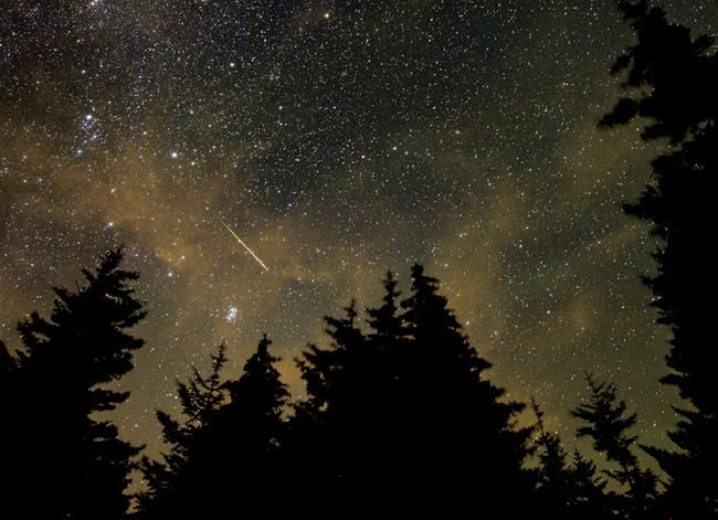 Look way up tonight: Annual Perseid meteor shower reaching its peak | iNFOnews.ca