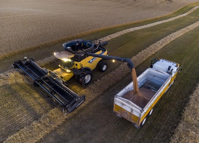 Wholesale sales excluding petroleum products and oilseeds and grains down in June | iNFOnews.ca Wholesale sales excluding petroleum products and oilseeds and grains down in June | iNFOnews.ca