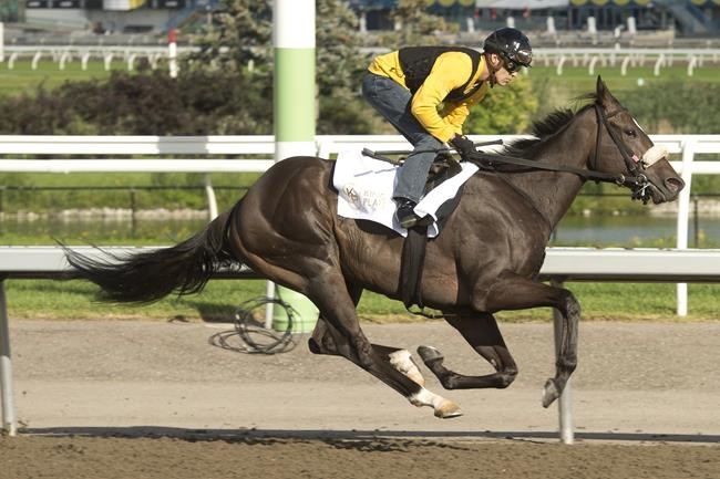 Online bettors set to wager on King's Plate horse race for the first time | iNFOnews.ca