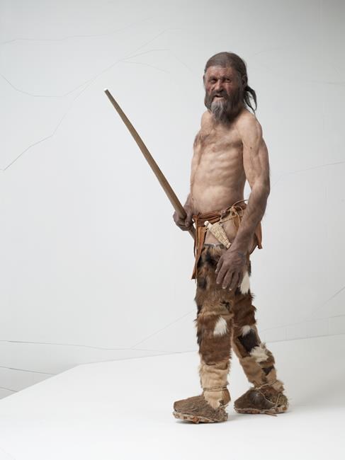 Fresh look at DNA from Oetzi the Iceman traces his roots to present day Turkey | iNFOnews.ca Fresh look at DNA from Oetzi the Iceman traces his roots to present day Turkey | iNFOnews.ca