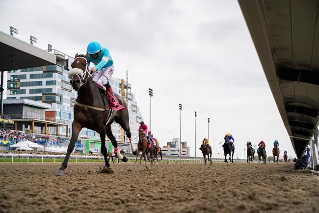 Elysian Field, Paramount Prince in 17-horse King's Plate field | iNFOnews.ca Elysian Field, Paramount Prince in 17-horse King's Plate field | iNFOnews.ca