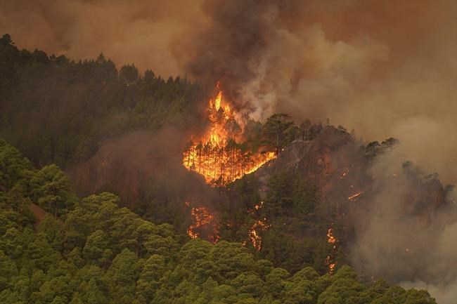 Out-of-control wildfire scorches Spain's Tenerife island, affecting thousands | iNFOnews.ca Out-of-control wildfire scorches Spain's Tenerife island, affecting thousands | iNFOnews.ca