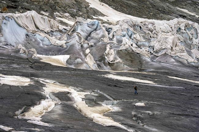 As glaciers melt, a new study seeks protection of ecosystems that emerge in their place | iNFOnews.ca