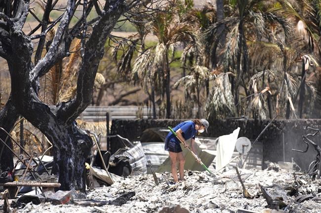 Hope is hard to let go after Maui fire, as odds wane over reuniting with still-missing loved ones | iNFOnews.ca