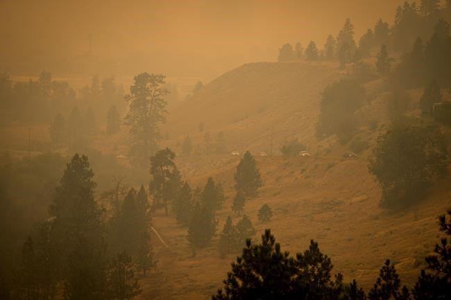 The latest news on the wildfires ravaging British Columbia | iNFOnews.ca The latest news on the wildfires ravaging British Columbia | iNFOnews.ca