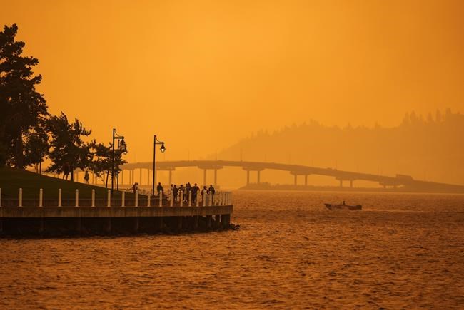 Wildfire smoke can damage the brain long after flames are extinguished, research says | iNFOnews.ca