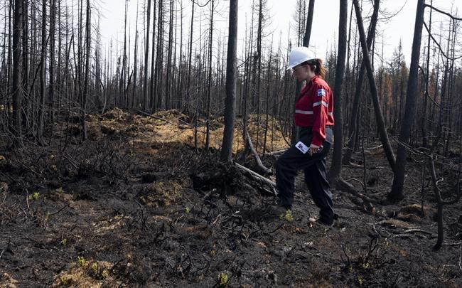 Climate change made worst Quebec fire weather twice as likely, more intense: study | iNFOnews.ca Climate change made worst Quebec fire weather twice as likely, more intense: study | iNFOnews.ca