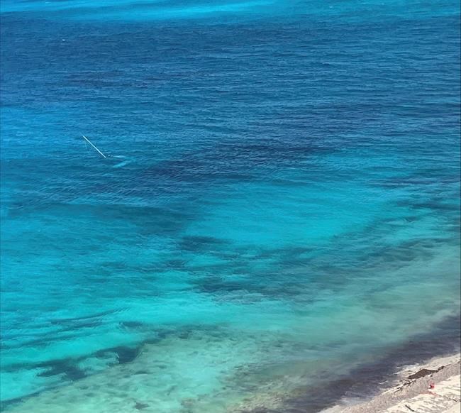 US Coast Guard rescues man who was stranded for 3 days on an island in the Bahamas | iNFOnews.ca US Coast Guard rescues man who was stranded for 3 days on an island in the Bahamas | iNFOnews.ca