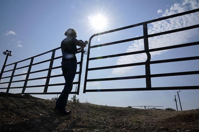 Climate change may force more farmers and ranchers to consider irrigation -- at a steep cost | iNFOnews.ca