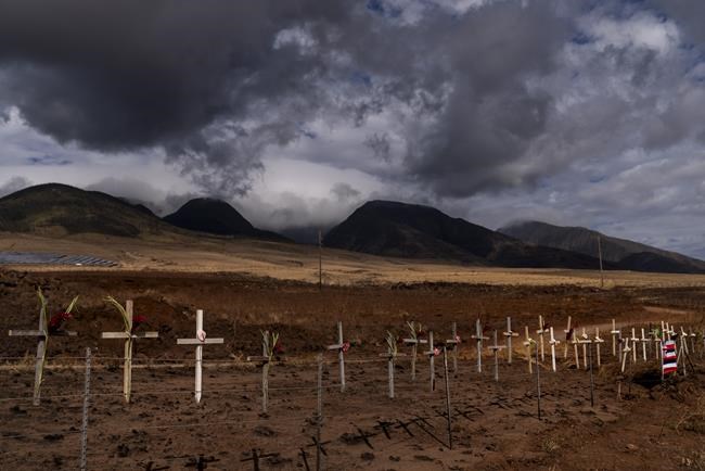 After Maui officials named 388 people unaccounted for in fires, many called to say they're OK | iNFOnews.ca After Maui officials named 388 people unaccounted for in fires, many called to say they're OK | iNFOnews.ca
