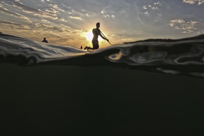 Dominican's recovery, penguin peril and GOP denial: What to know about extreme weather now | iNFOnews.ca