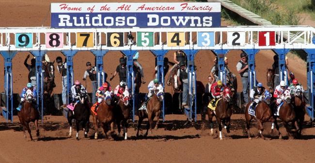 New Mexico governor demands changes to make horse racing drug-free | iNFOnews.ca New Mexico governor demands changes to make horse racing drug-free | iNFOnews.ca