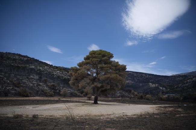 Massive wildfire in northeastern Greece persists for 11th day despite European firefighting efforts | iNFOnews.ca