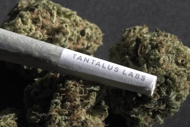 Cannabis company Atlantic Cultivation acquires insolvent Tantalus Labs brand | iNFOnews.ca Cannabis company Atlantic Cultivation acquires insolvent Tantalus Labs brand | iNFOnews.ca