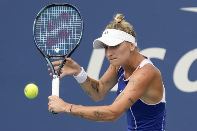 'Like Snoop Dogg's living room': Smell of pot wafts over notorious U.S. Open court | iNFOnews.ca 'Like Snoop Dogg's living room': Smell of pot wafts over notorious U.S. Open court | iNFOnews.ca