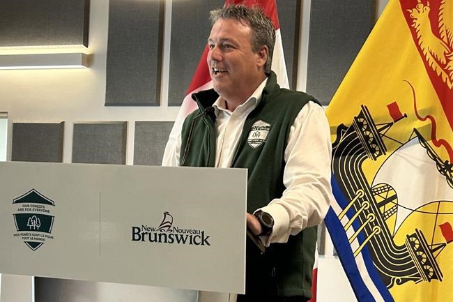 N.B. forest strategy lauded for conservation, criticized for lack of tree diversity | iNFOnews.ca
