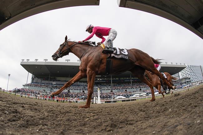 King's Plate winner Paramount Prince to run in Prince of Wales | iNFOnews.ca