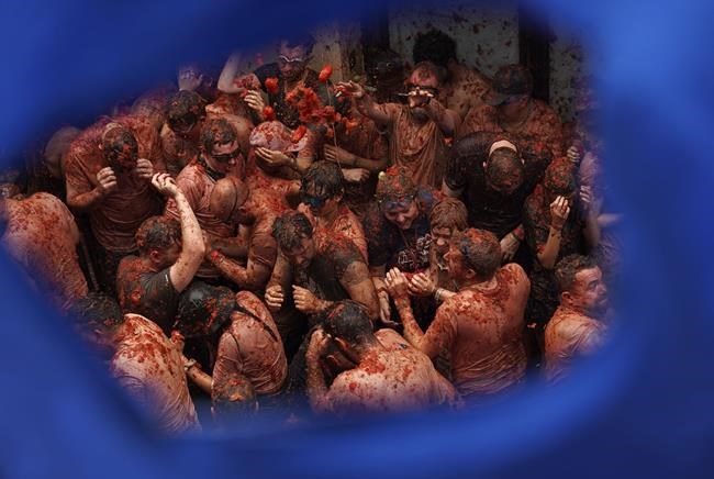 Revelers hurl tomatoes at each other and streets awash in red pulp in Spanish town's Tomatina party | iNFOnews.ca