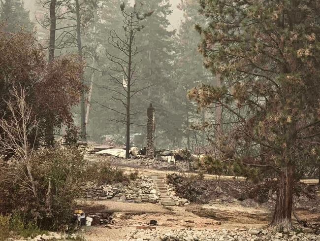 Ecologists say life will return to B.C. wildfire zone, but trees may never grow back | iNFOnews.ca Ecologists say life will return to B.C. wildfire zone, but trees may never grow back | iNFOnews.ca