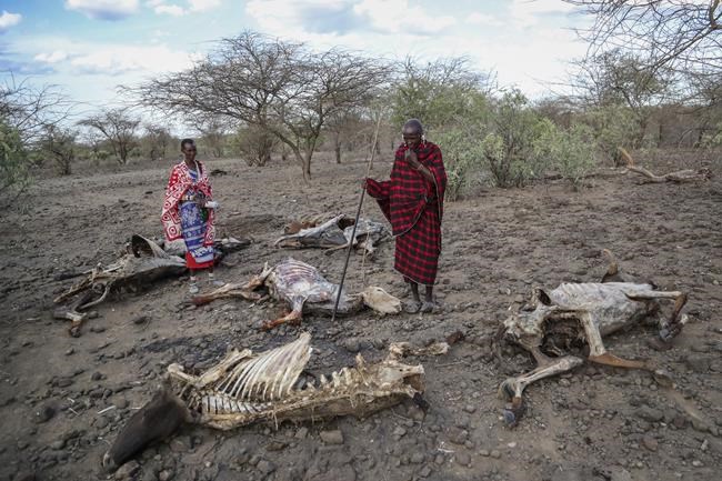 As Africa opens a climate summit, poor weather forecasting keeps the continent underprepared | iNFOnews.ca
