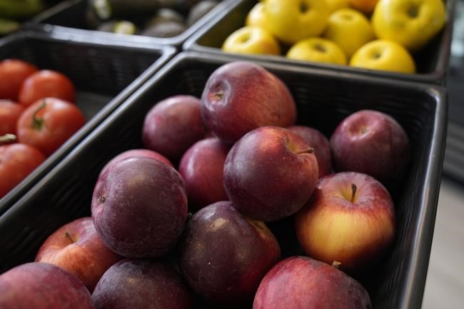 Quebec apple farmers want government help to deal with changing tastes and climate | iNFOnews.ca Quebec apple farmers want government help to deal with changing tastes and climate | iNFOnews.ca